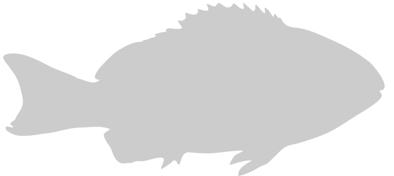Fish vector