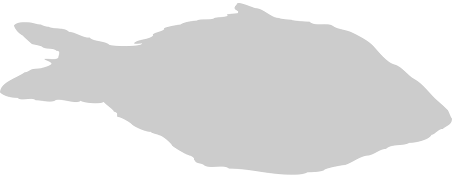 Fish vector
