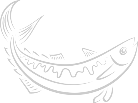 Fish vector