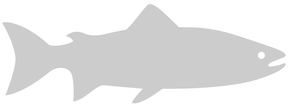 Fish vector