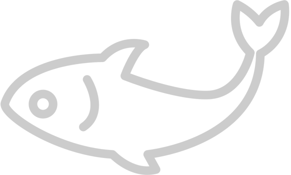 Fish  vector