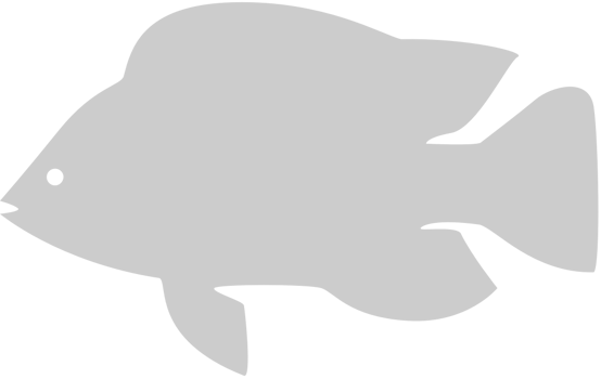 Fish vector