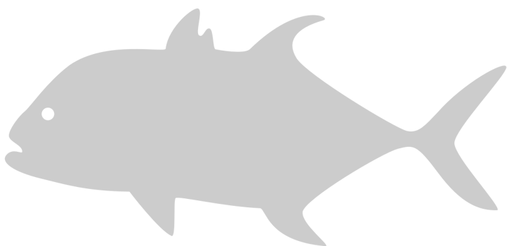 Fish vector