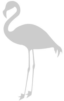Flamingo vector