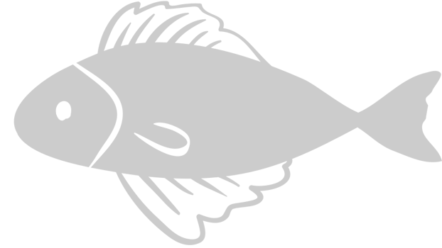 Fish vector