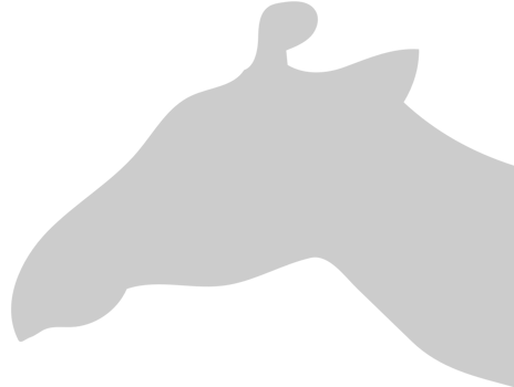 Giraffe head vector