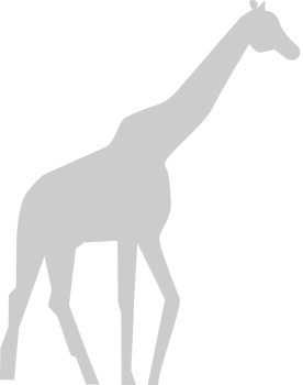 Giraffe vector