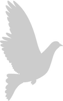 Dove vector