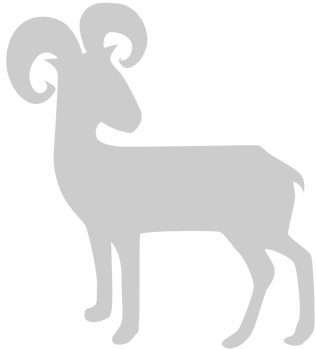 Goat vector