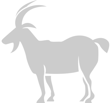 Goat vector