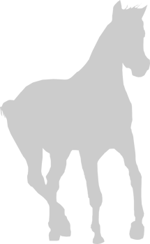 Horse vector