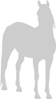 Horse vector