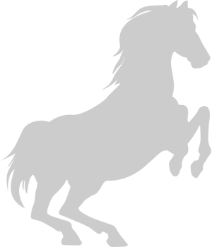 Horse vector
