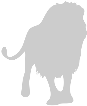 Lion vector
