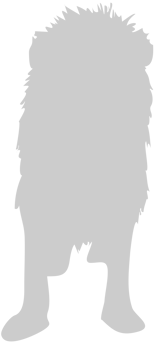 Lion vector