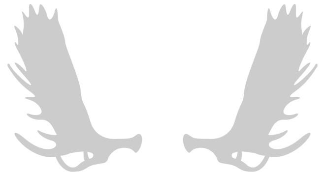 Moose horns vector