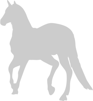Mustang vector
