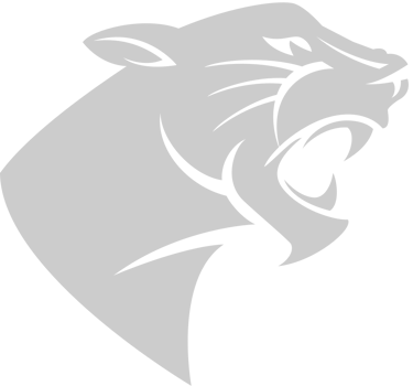 Panther head vector