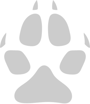Paw vector