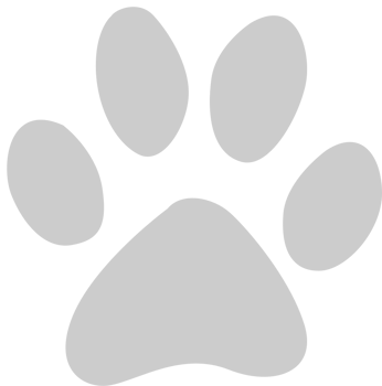Paw vector