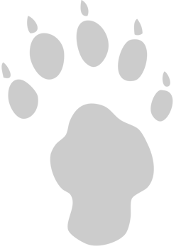 Paw vector
