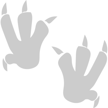 Paw vector