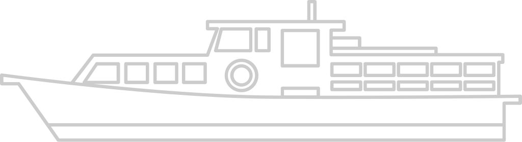 Cruise Ship vector