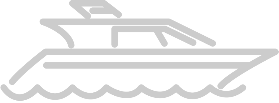 Cruise Ship vector