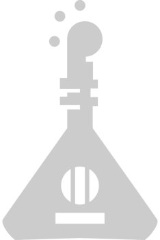 Music string instrument vector