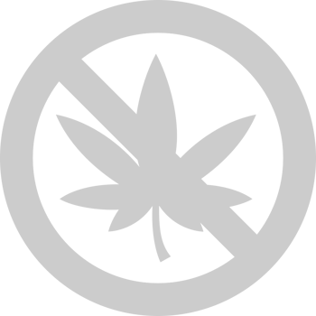 no drugs ganja vector
