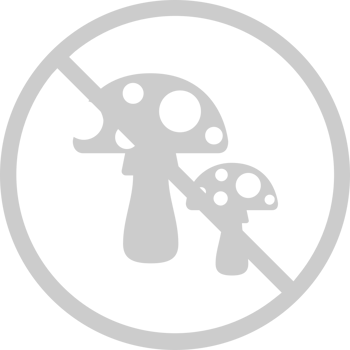 No drugs vector