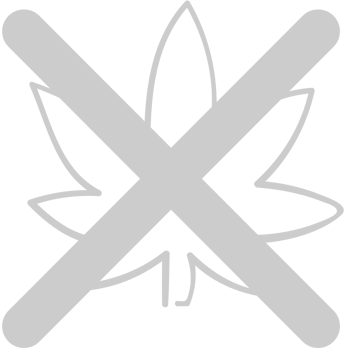No drugs ganja vector