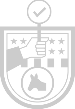 Election  vector