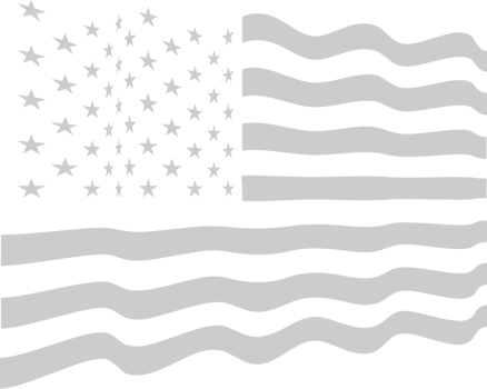 American Flag vector