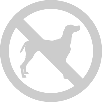 No dog vector