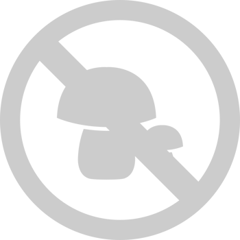No mushrooms vector
