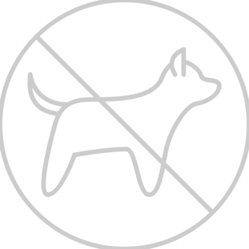 No dog vector