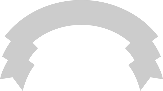 Ribbon vector