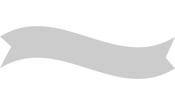 Banner vector
