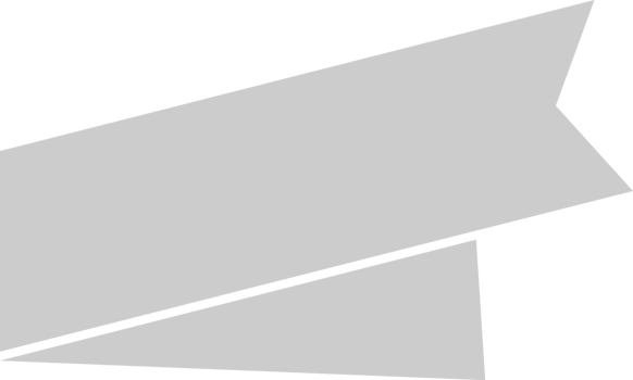 Banner vector