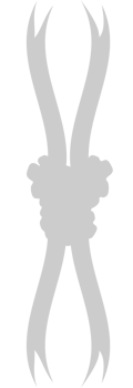 Ribbon bow vector