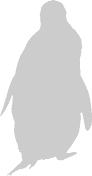 Penguin vector