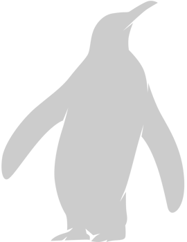 Penguin vector