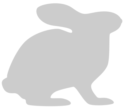 Rabbit  vector