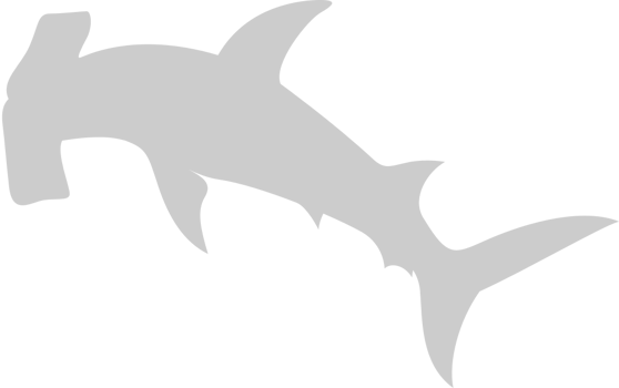 Hammerhead shark vector