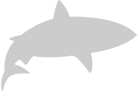 Shark vector