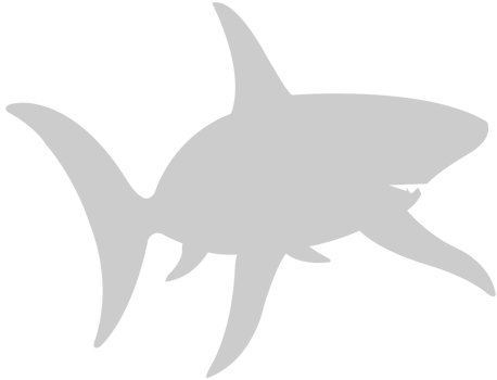 Shark vector