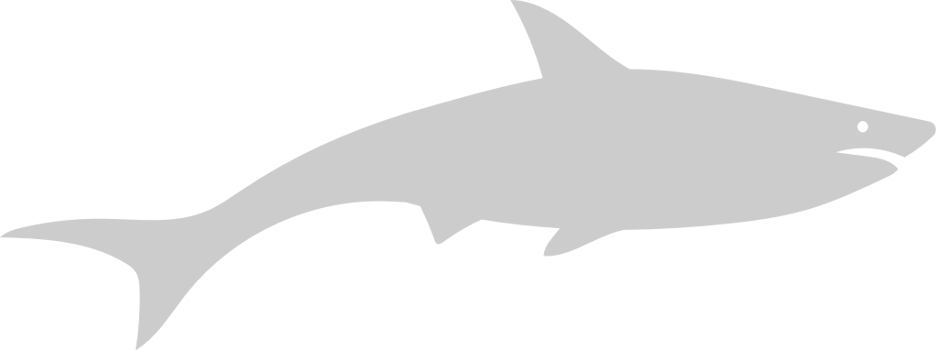 Shark vector
