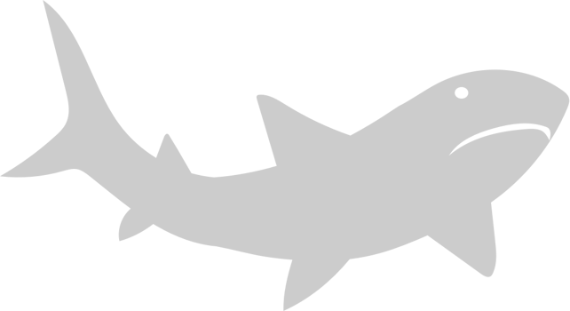 Shark vector