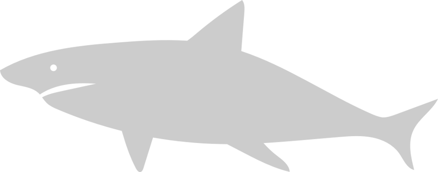 Shark vector